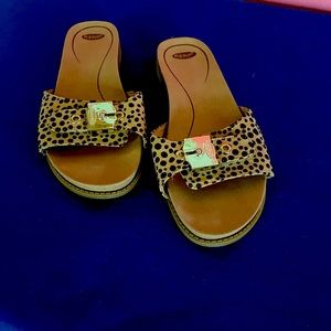 Dr. Scholl’s slides.